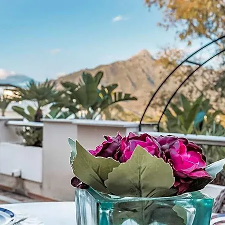 Hotel Molo Aloha Near Banus Marbella